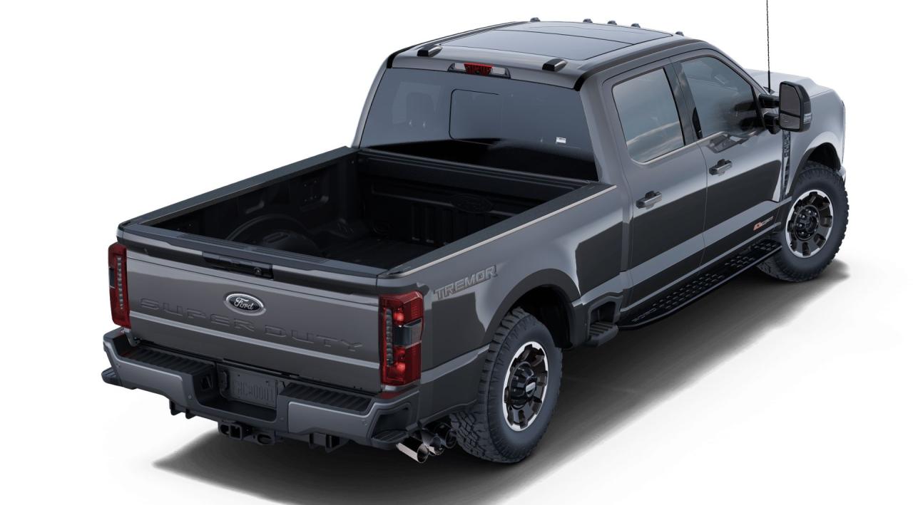 2025 Ford SUPERDUTY F-350® Lariat® Photo2