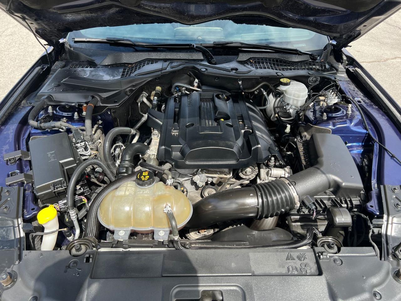 2019 Ford Mustang ECOBOOST COUPE - Photo #21