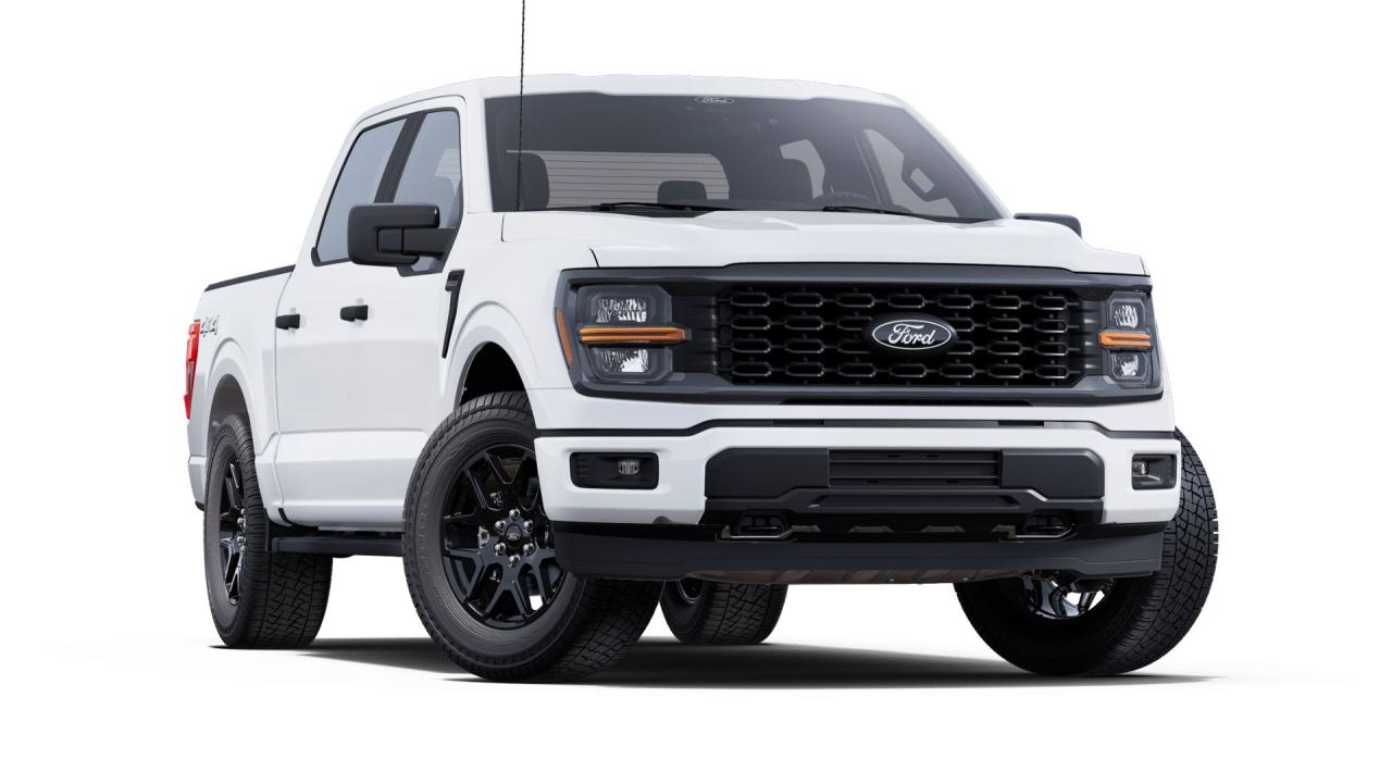 2025 Ford F-150 STX 4WD SuperCrew 5.5' Box Photo