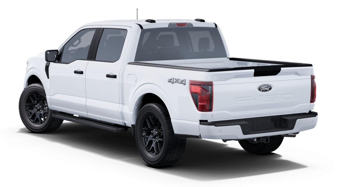 2025 Ford F-150 STX 4WD SuperCrew 5.5' Box Photo1