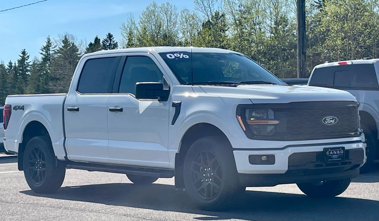 2025 Ford F-150 STX 4WD SuperCrew 5.5' Box Photo4