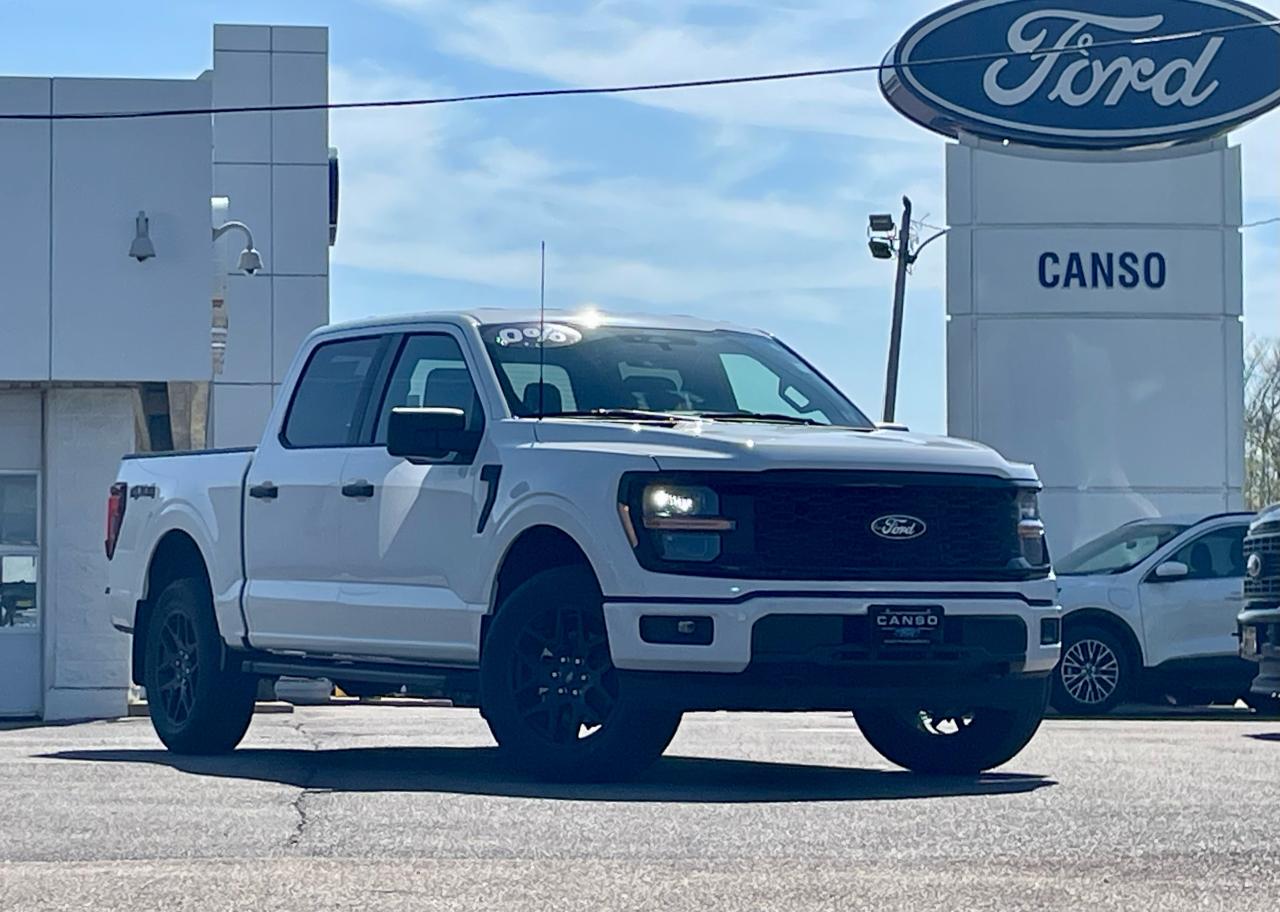 2025 Ford F-150 STX 4WD SuperCrew 5.5' Box Photo1