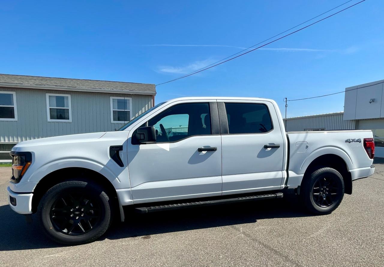 2025 Ford F-150 STX 4WD SuperCrew 5.5' Box Photo5