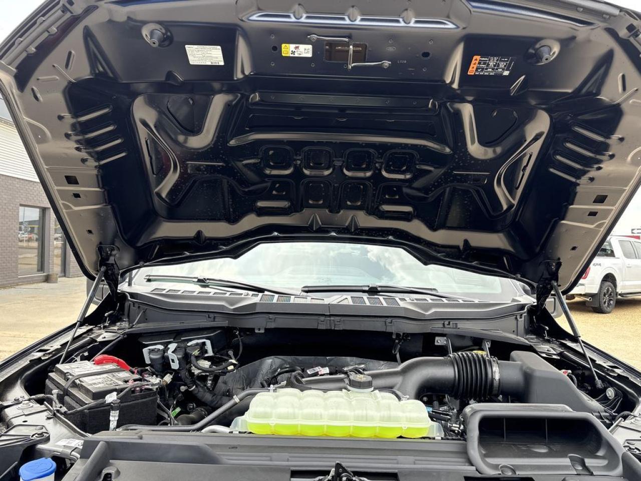 2025 Ford F-150 XLT 5.5' Box 301A Photo5