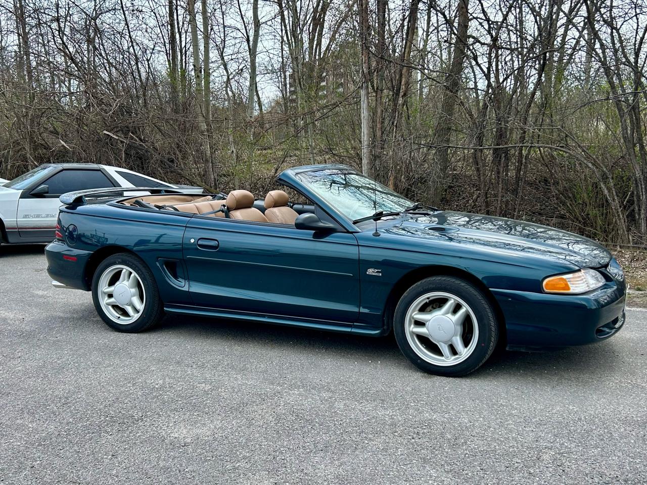 1995 Ford Mustang GT - Photo #7