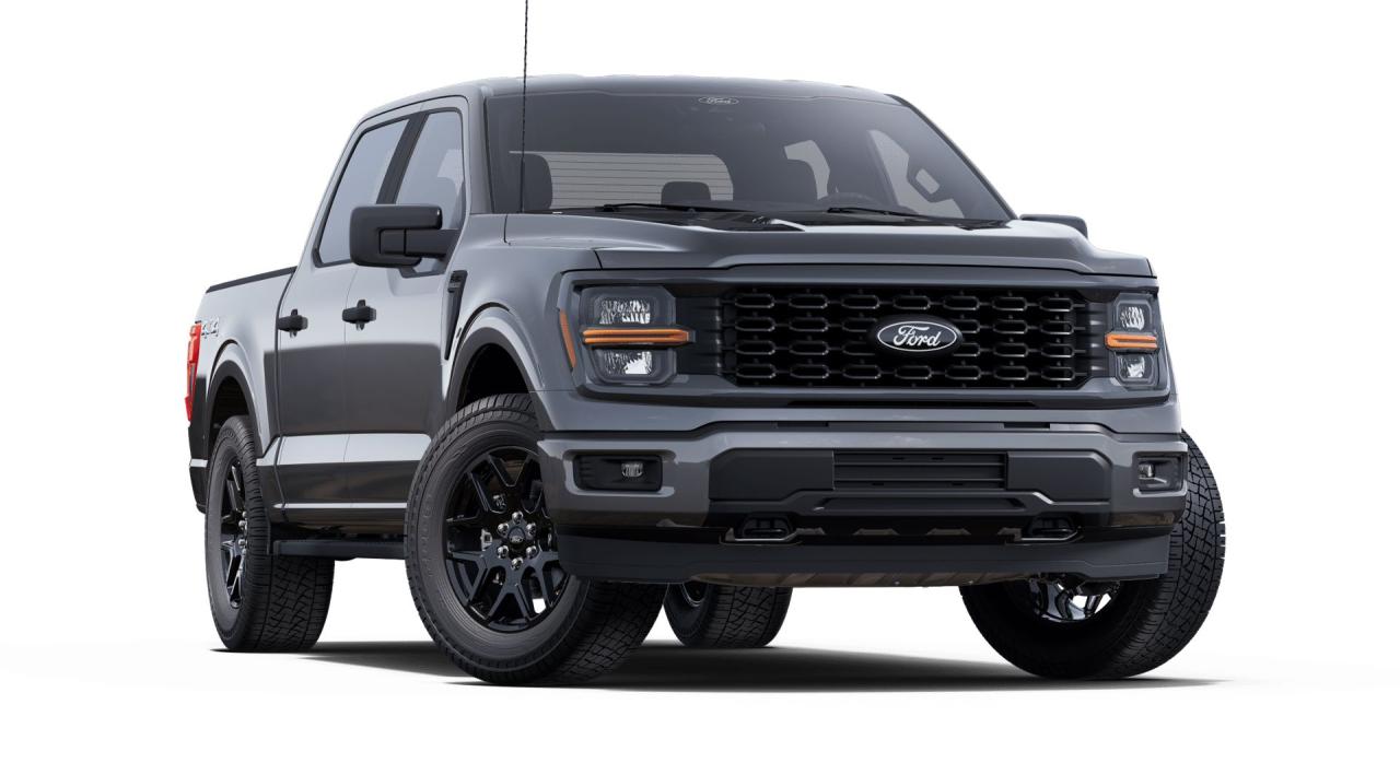 2025 Ford F-150 STX 4WD SuperCrew 5.5' Box Photo5