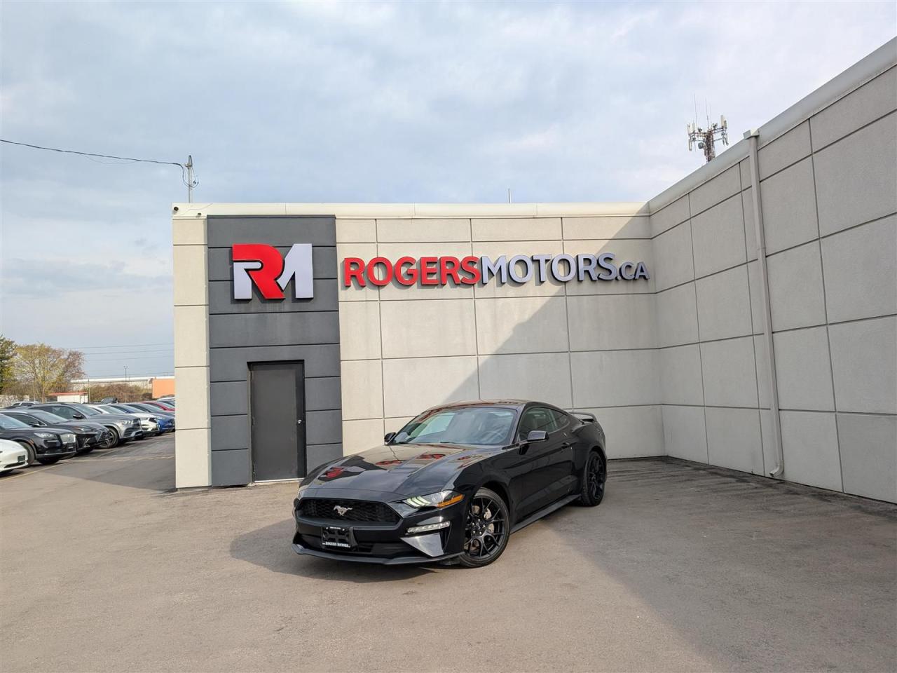 Used 2018 Ford Mustang ECOBOOST - 19 IN RIMS for sale in Oakville, ON