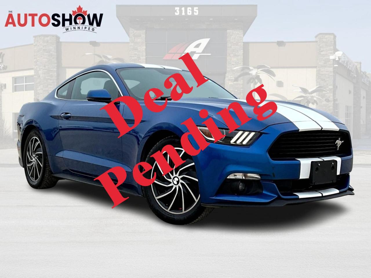 Used 2017 Ford Mustang 2dr Fastback EcoBoost for sale in Winnipeg, MB