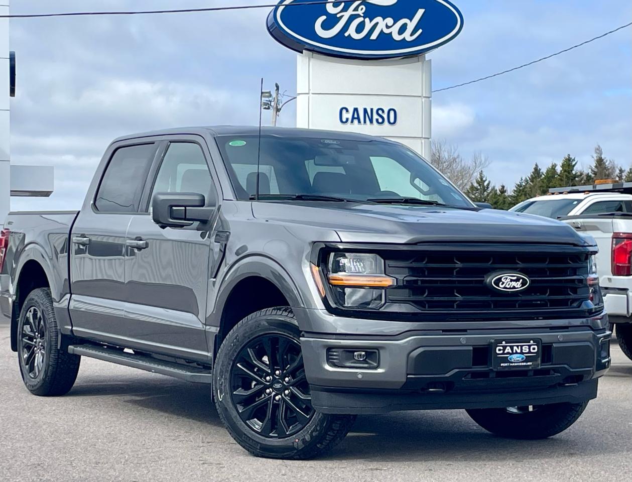 2025 Ford F-150 XLT 4WD SuperCrew 5.5' Box Photo0