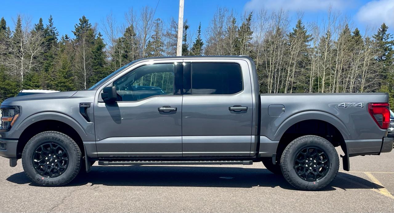 2025 Ford F-150 XLT 4WD SuperCrew 5.5' Box Photo5