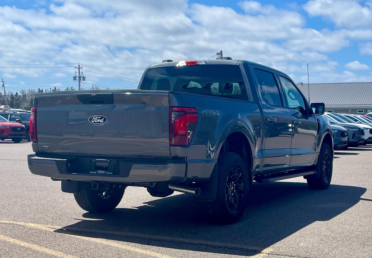 2025 Ford F-150 XLT 4WD SuperCrew 5.5' Box Photo4