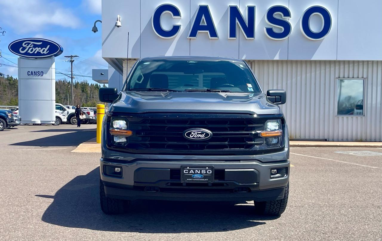 2025 Ford F-150 XLT 4WD SuperCrew 5.5' Box Photo5