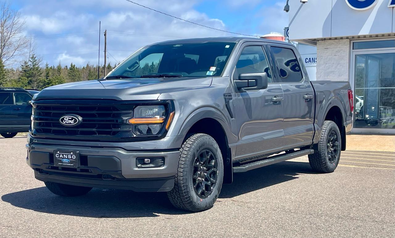 2025 Ford F-150 XLT 4WD SuperCrew 5.5' Box Photo5