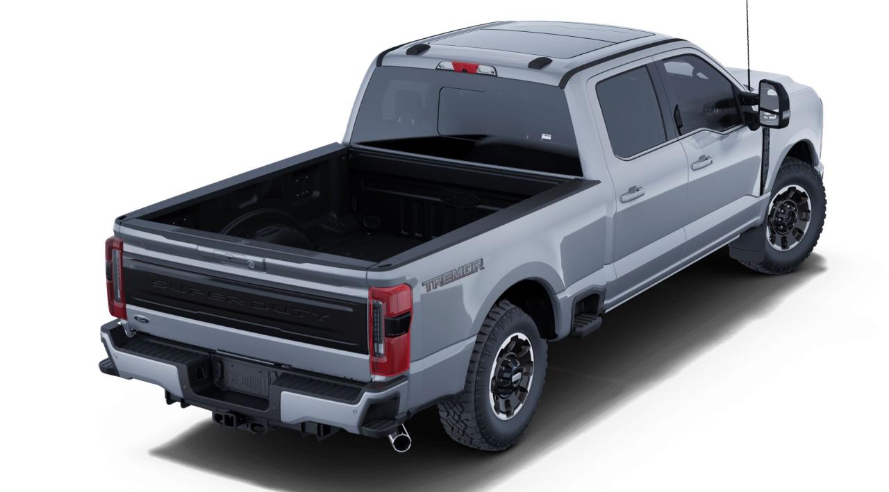 2025 Ford SUPERDUTY F-250® Platinum® Photo2