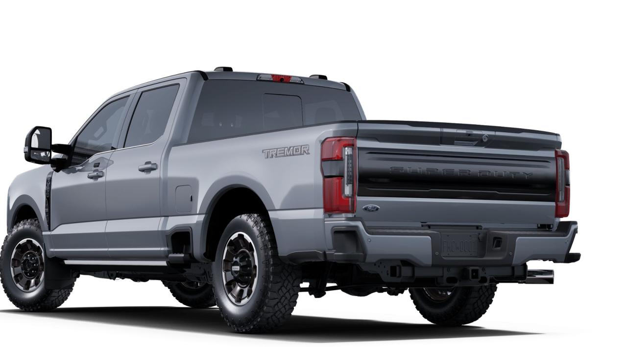 2025 Ford SUPERDUTY F-250® Platinum® Photo1