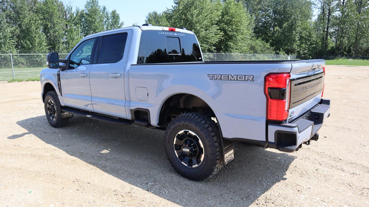 2025 Ford F-250 Super Duty SRW Platinum Photo