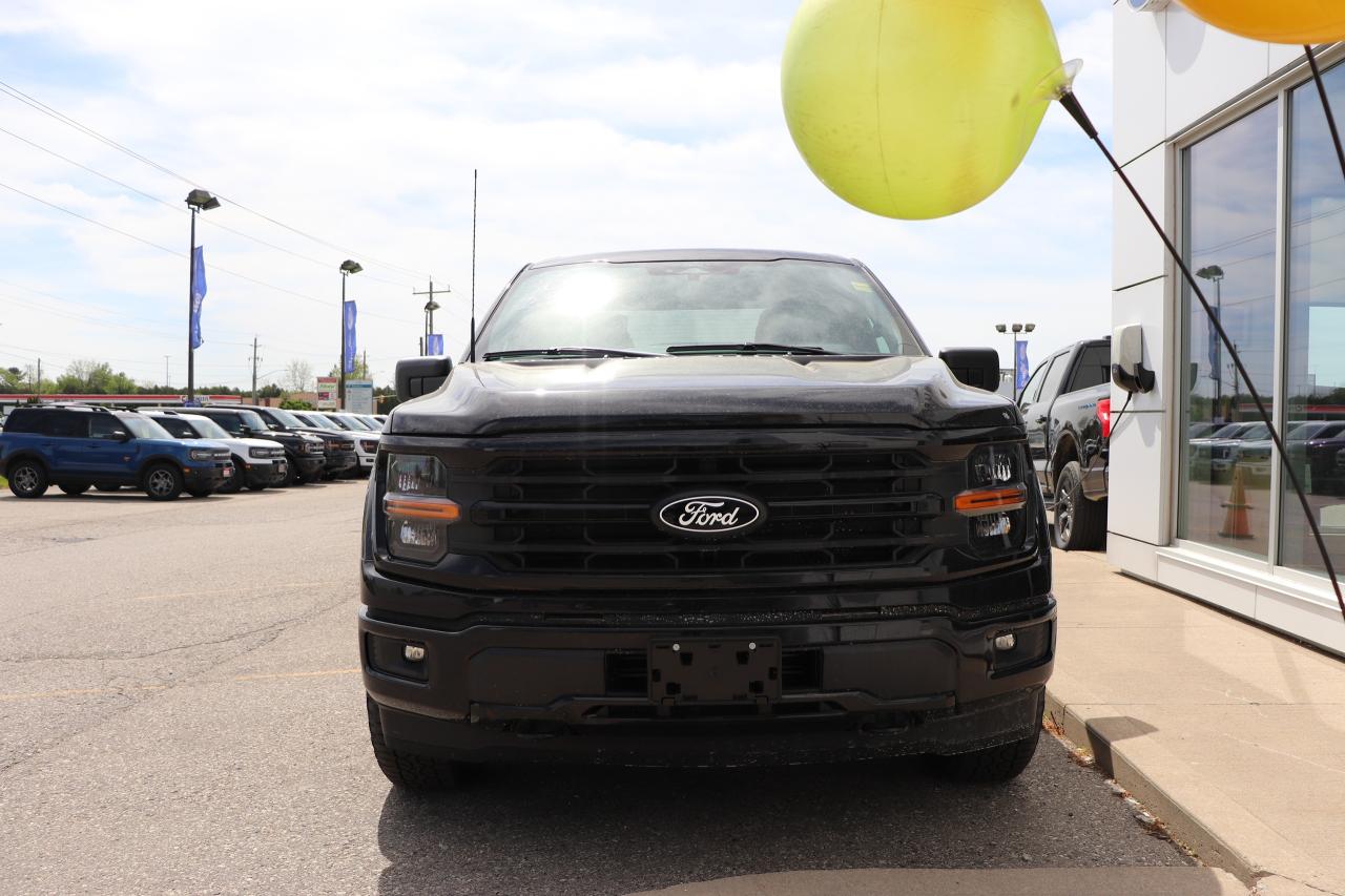 2025 Ford F-150 XLT 4WD SuperCrew 5.5' Box Photo4