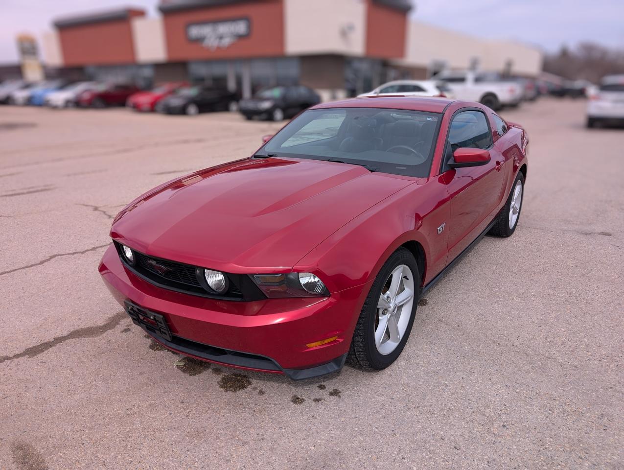 Used 2010 Ford Mustang GT | Leather | Heated Seats for sale in Steinbach, MB
