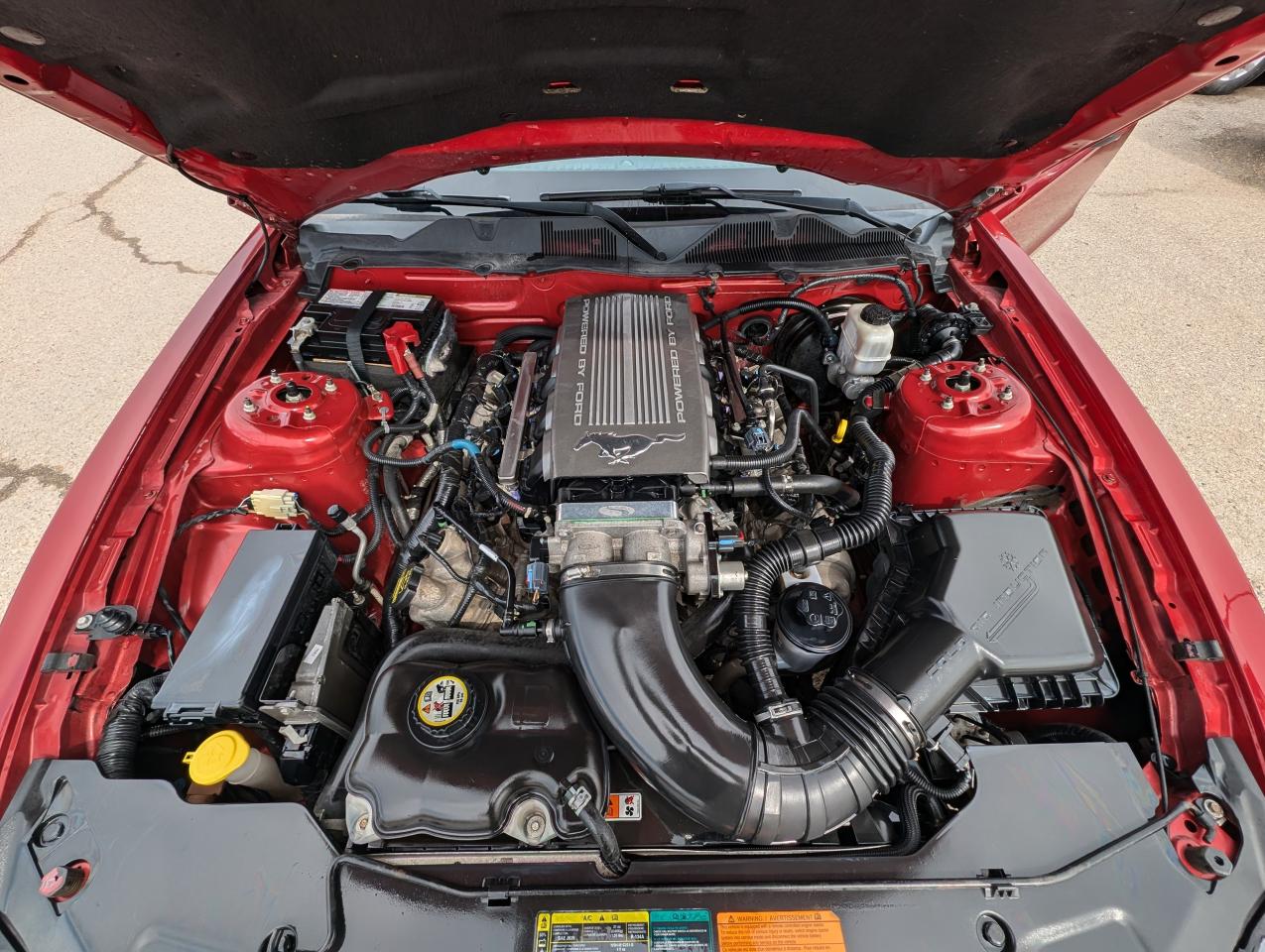 2010 Ford Mustang GT | Leather | Heated Seats - Photo #13
