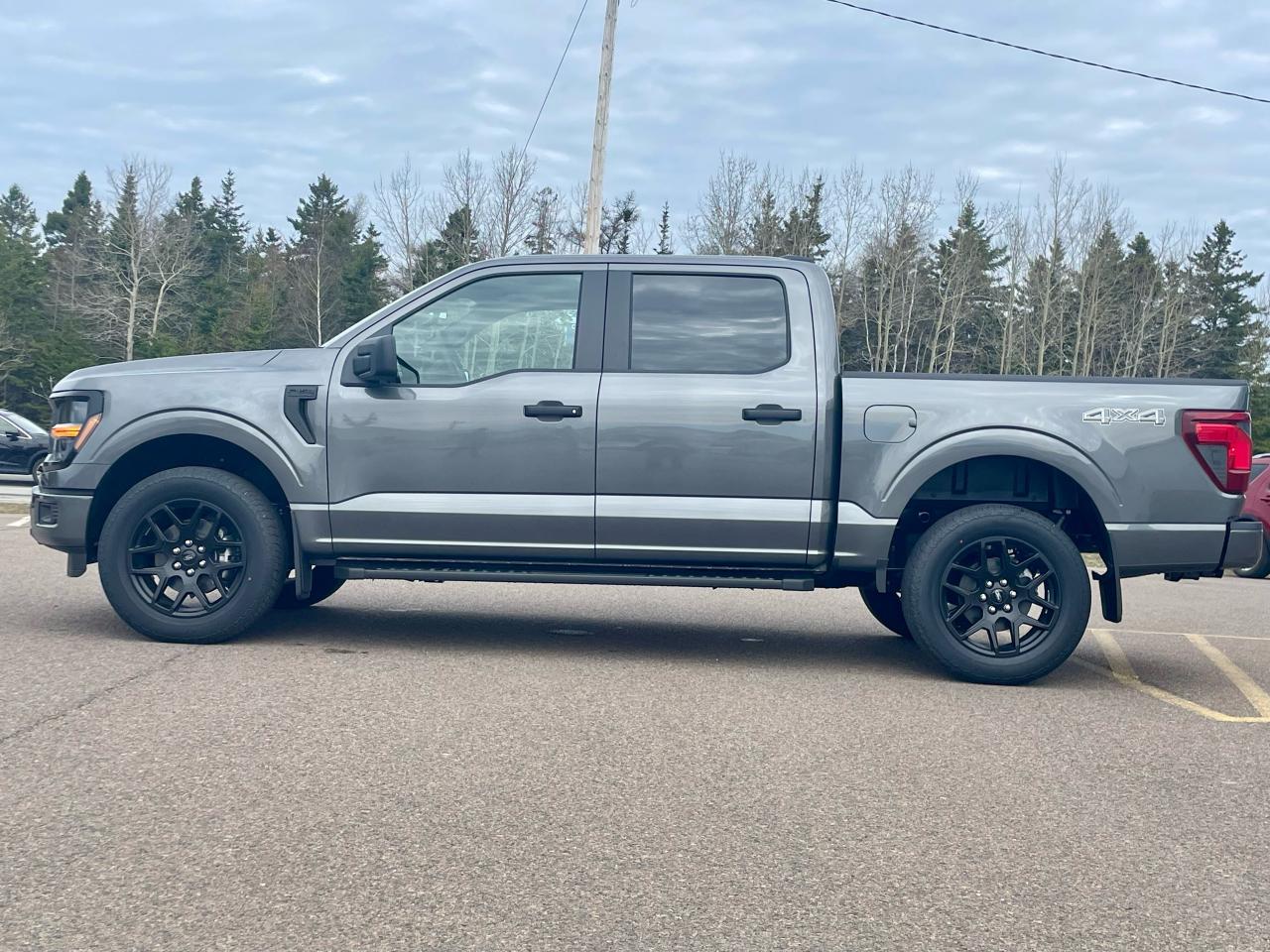 2025 Ford F-150 STX 4WD SuperCrew 5.5' Box Photo5