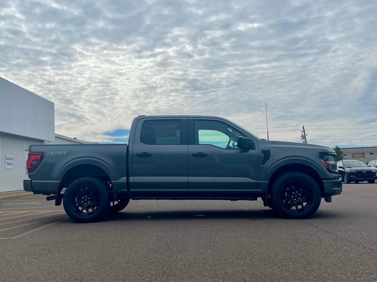 2025 Ford F-150 STX 4WD SuperCrew 5.5' Box Photo3