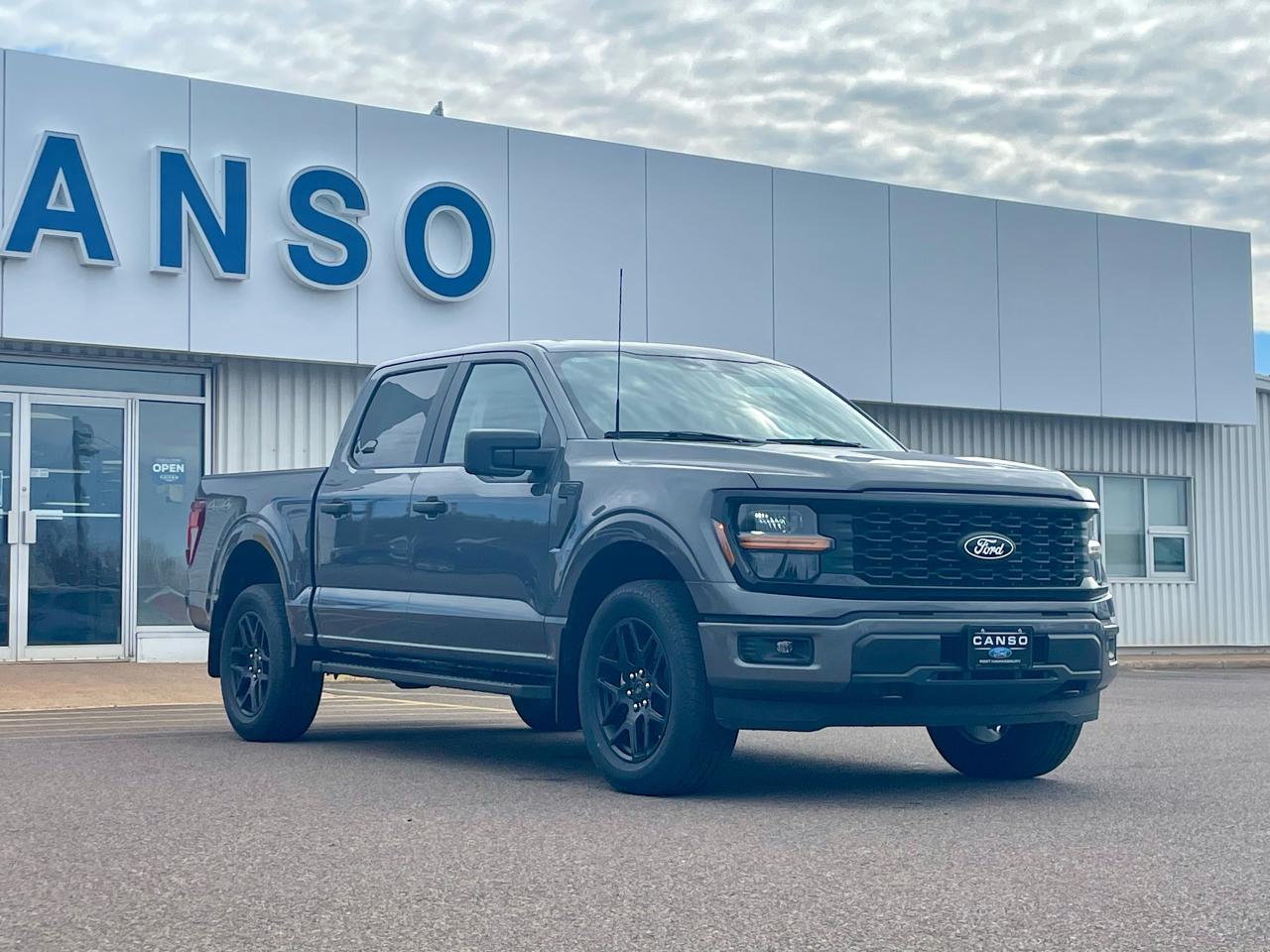 2025 Ford F-150 STX 4WD SuperCrew 5.5' Box Photo