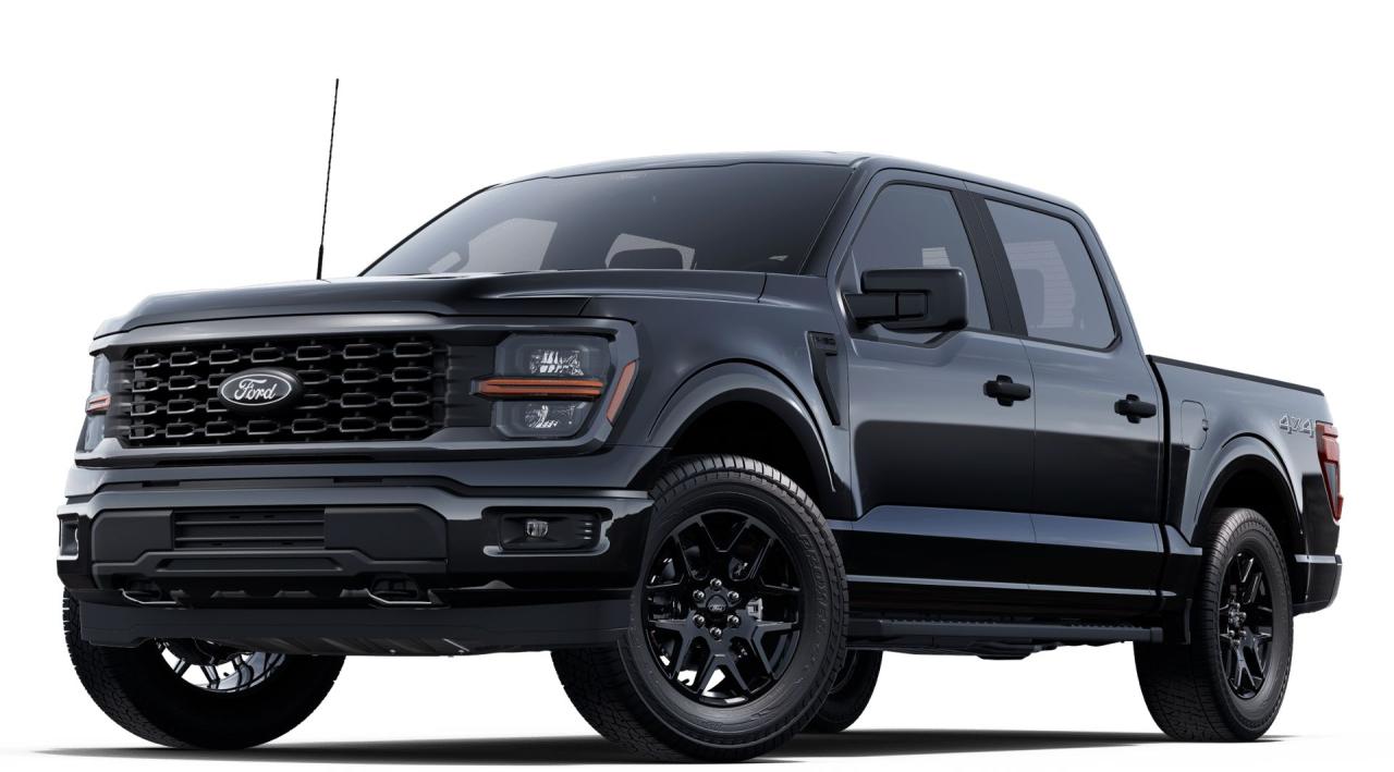 2025 Ford F-150 STX 4WD SuperCrew 5.5' Box Photo0