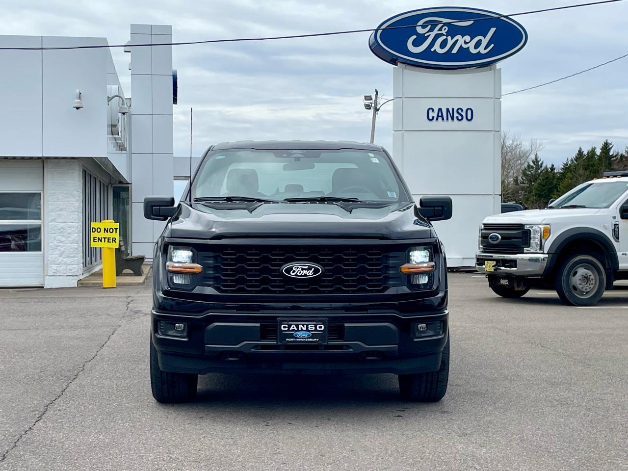 2025 Ford F-150 STX 4WD SuperCrew 5.5' Box Photo