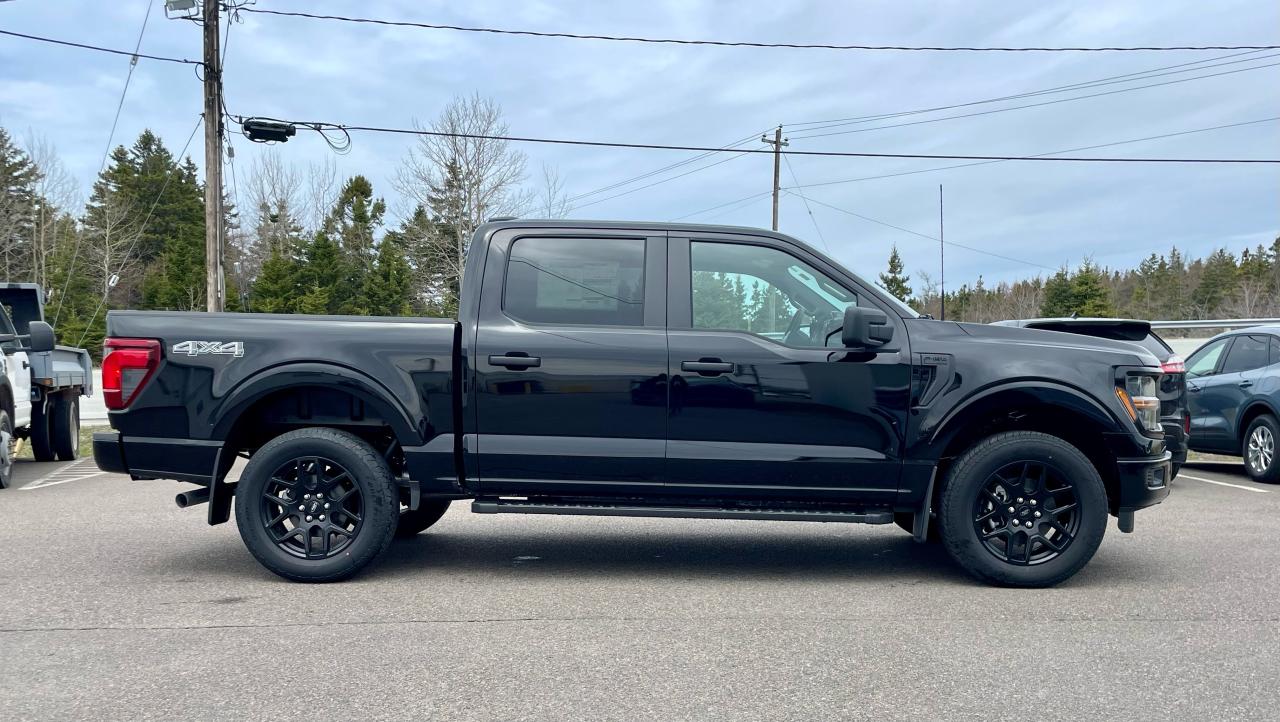 2025 Ford F-150 STX 4WD SuperCrew 5.5' Box Photo