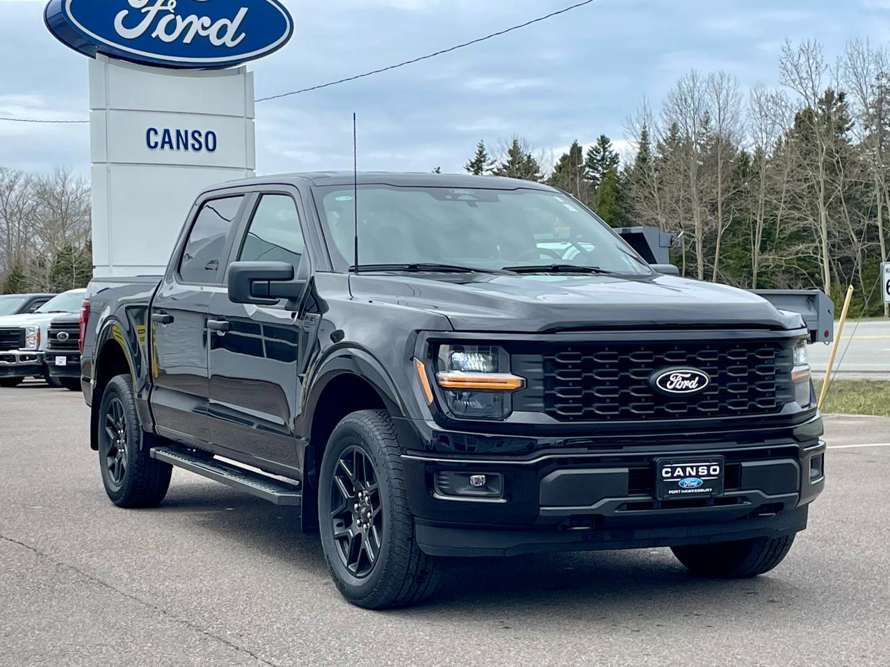 2025 Ford F-150 STX 4WD SuperCrew 5.5' Box Photo2