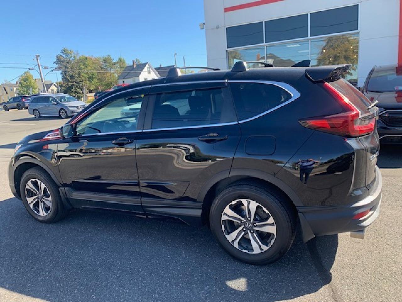 2022 Honda CR-V LX Photo