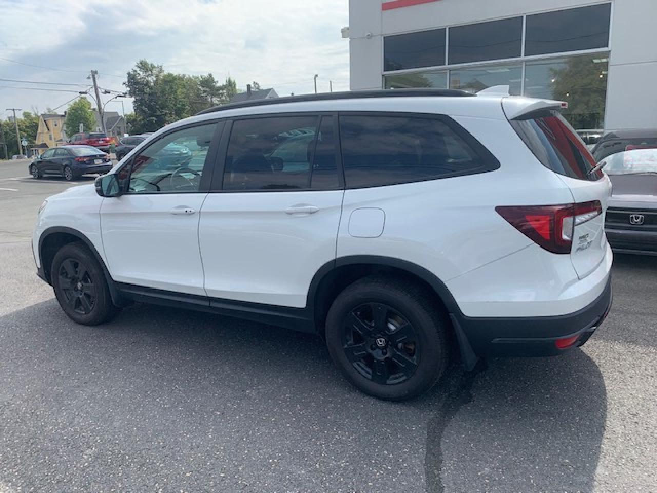 2022 Honda Pilot TrailSport Photo