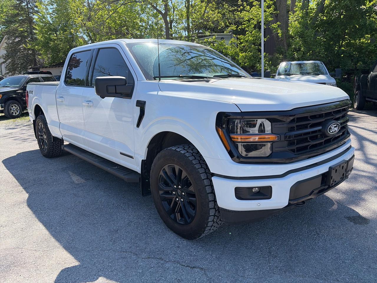 2025 Ford F-150 XLT  - Sunroof - Tow Package - Bed Liner Photo