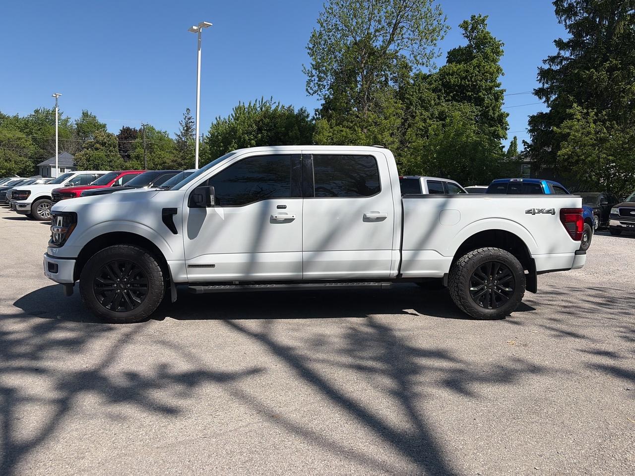 2025 Ford F-150 XLT  - Sunroof - Tow Package - Bed Liner Photo