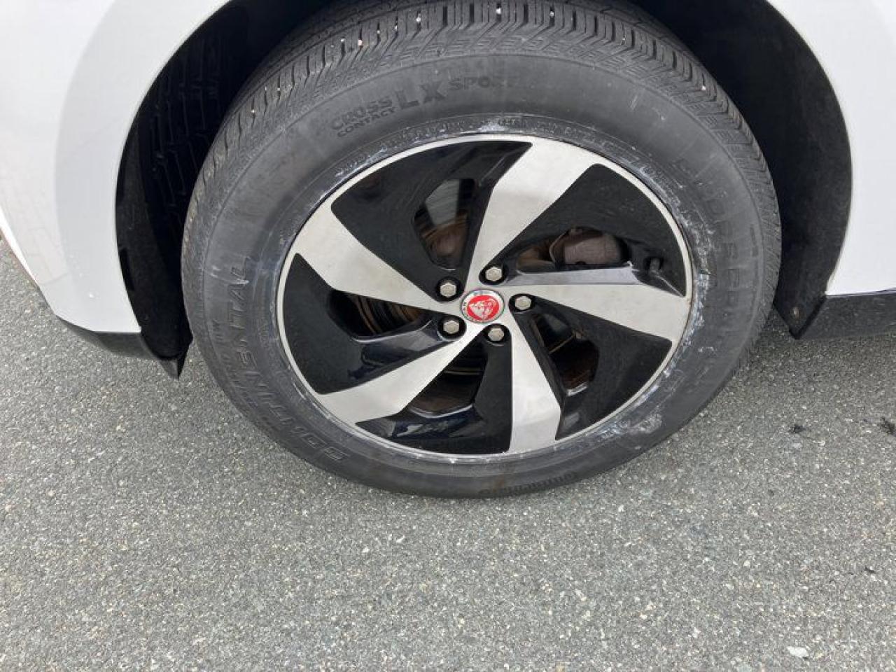 12473497
