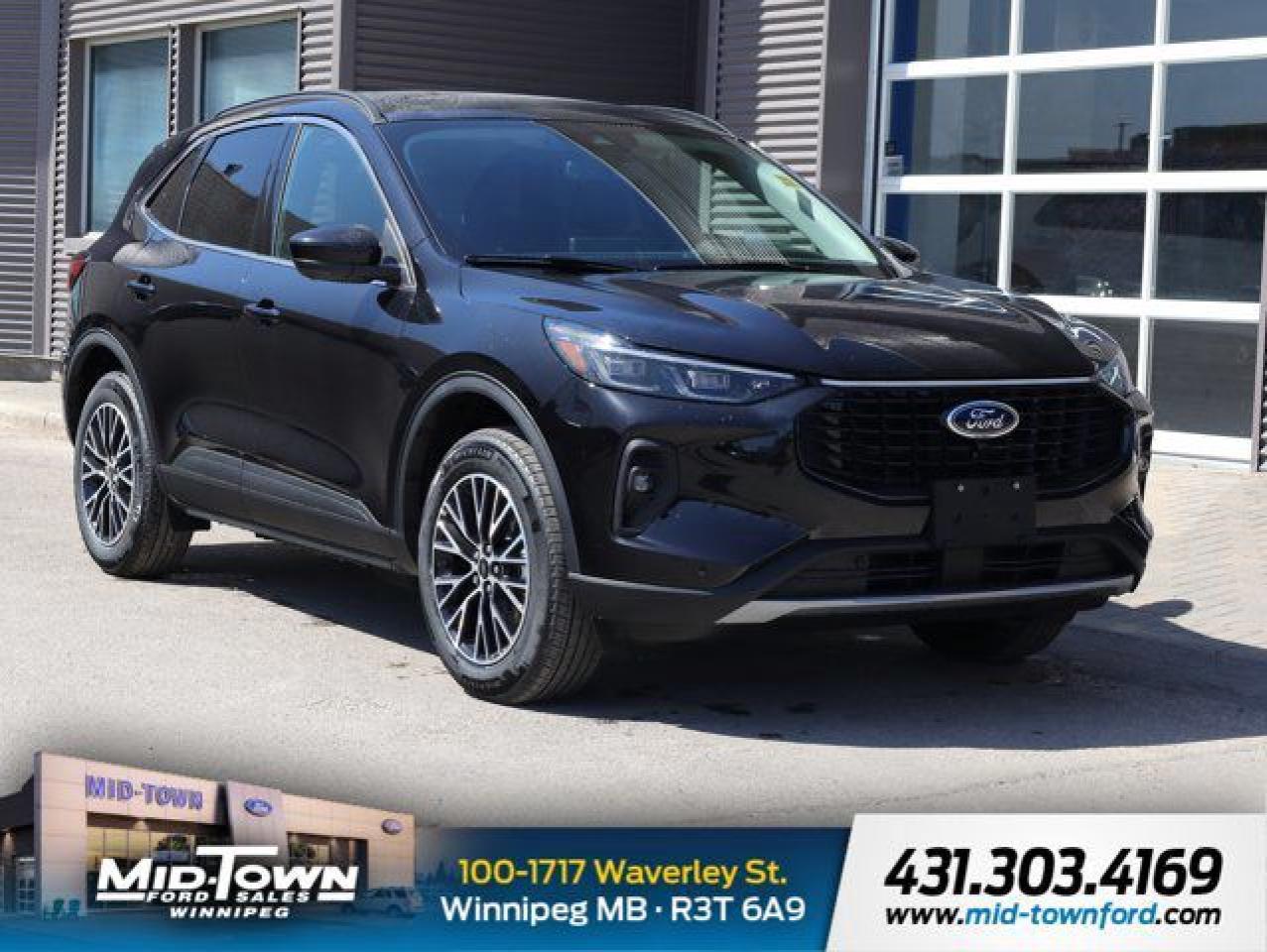 New 2025 Ford Escape PHEV for sale in Winnipeg, MB