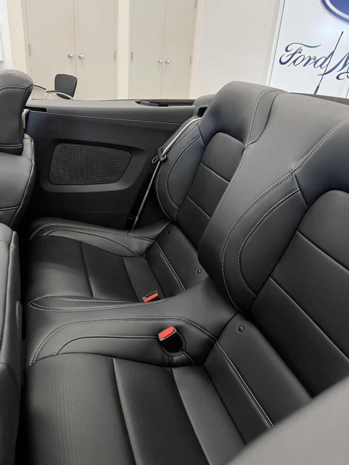 2025 Ford Mustang GT Premium Photo3
