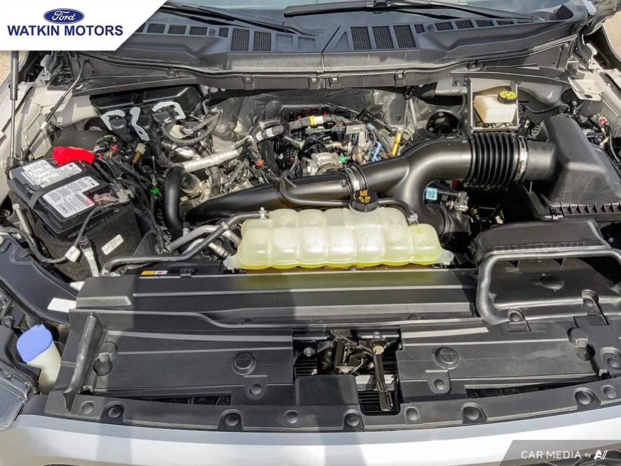 2023 Ford F-150 XL Photo12