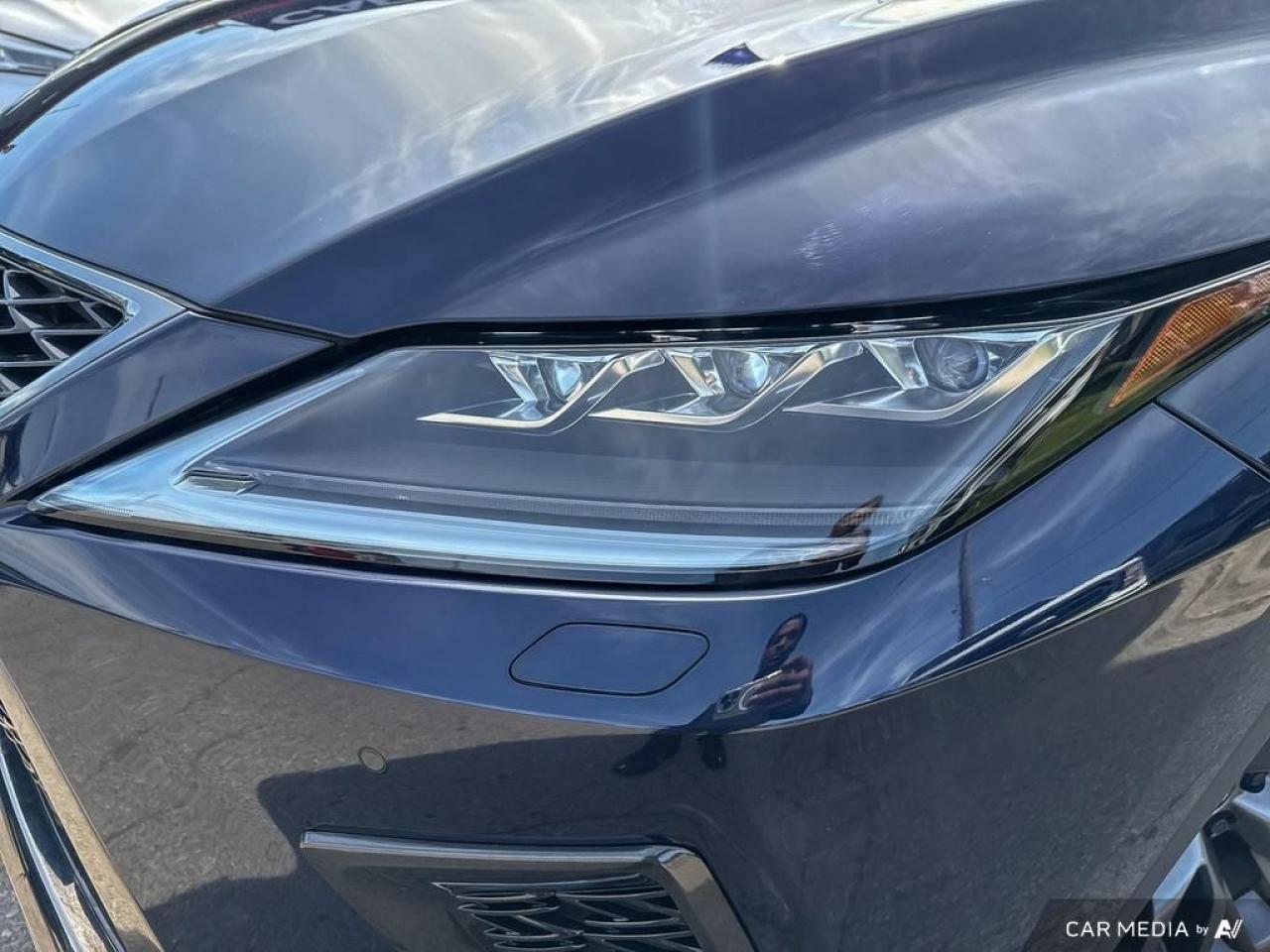 2021 Lexus RX RX 350 / F-SPORT / ROOF / LEATHER / NAV - Photo #10