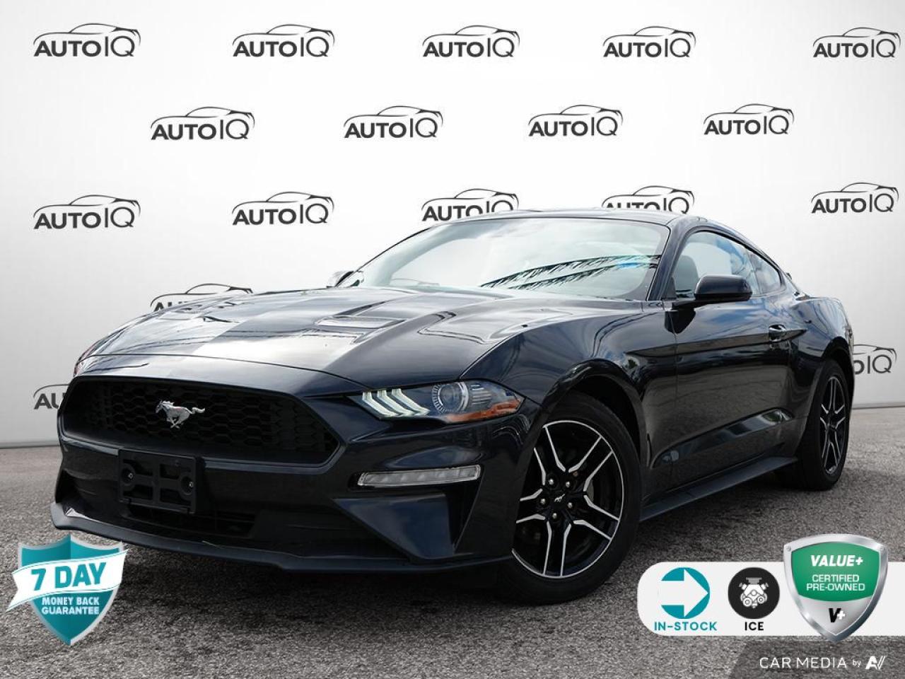 Used 2023 Ford Mustang EcoBoost ILLUMINATED ENTRY | BUCKET SEATS for sale in St Catharines, ON