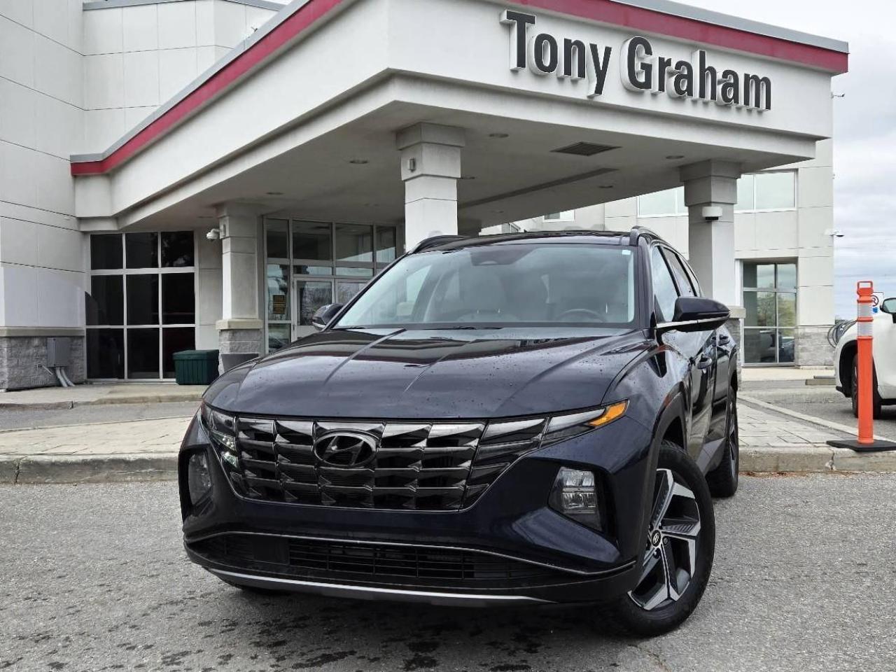 Used 2022 Hyundai Tucson Hybrid Luxury for sale in Ottawa, ON