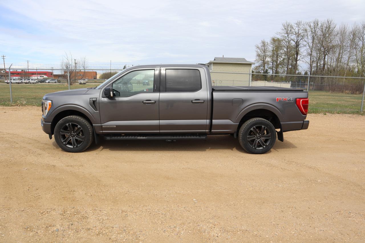2022 Ford F-150 XLT Photo2