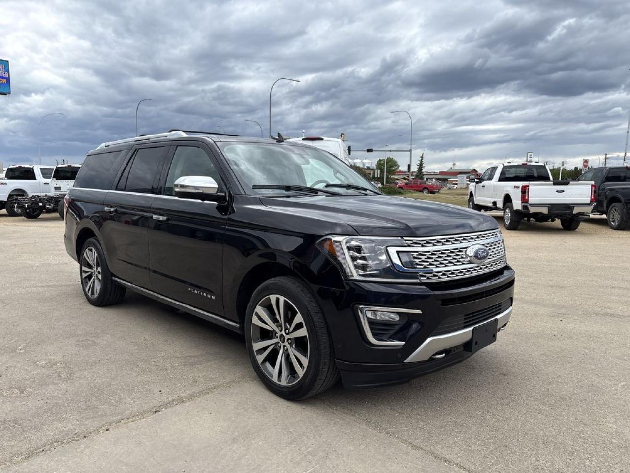 2021 Ford Expedition Platinum Max Photo0