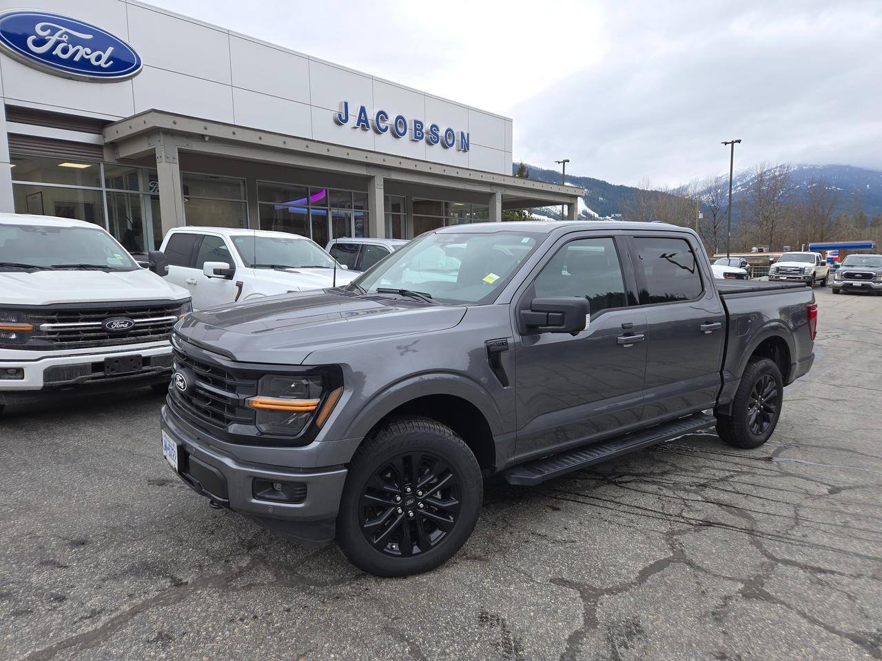 2025 Ford F-150 XLT Photo1