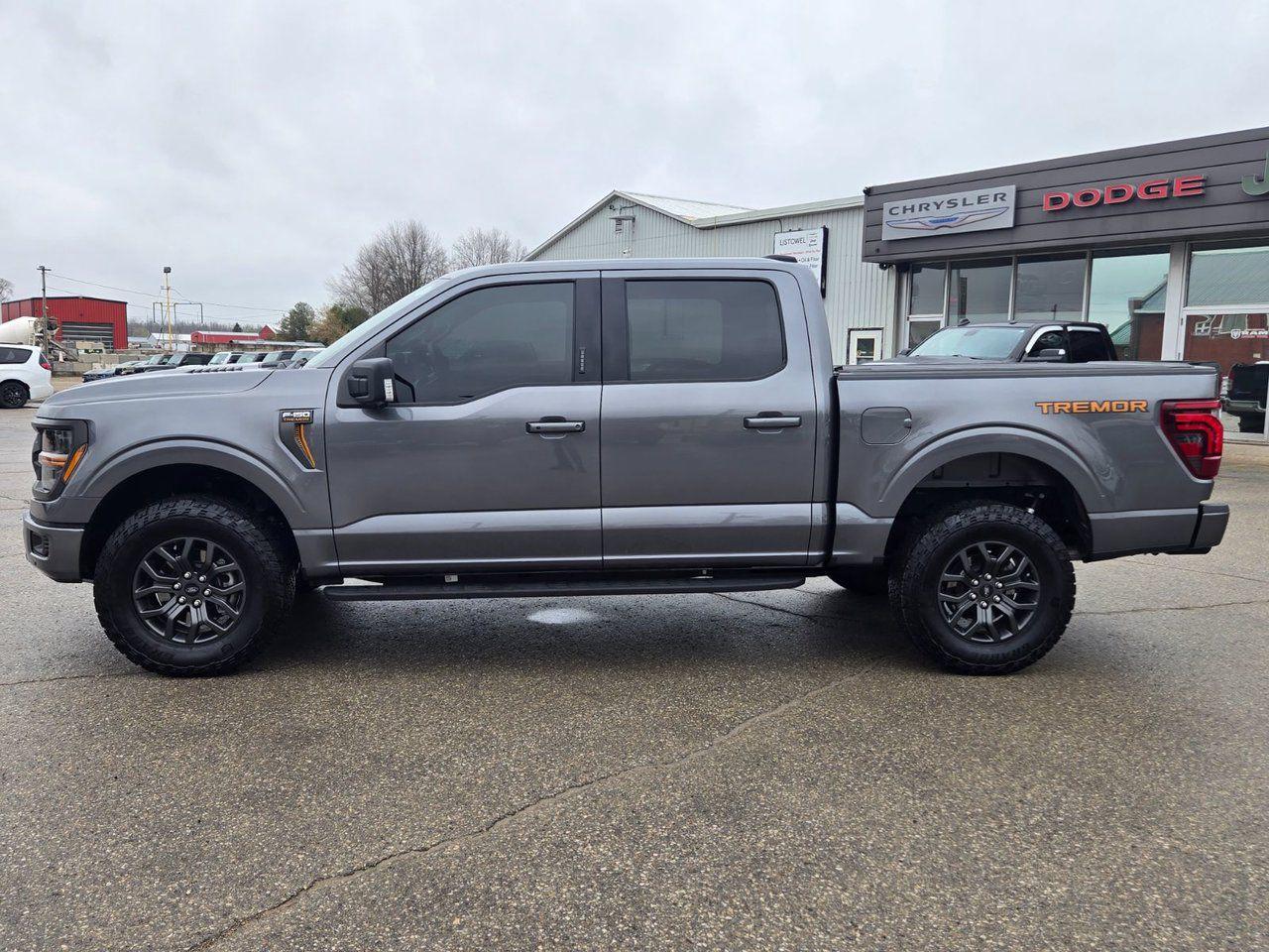 2024 Ford F-150 Tremor - Photo #8