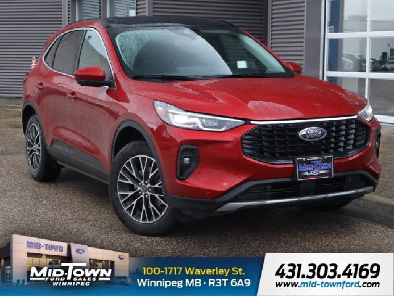 New 2025 Ford Escape PHEV | B&O 10 Speaker Pack | Class II Tow Pack for sale in Winnipeg, MB
