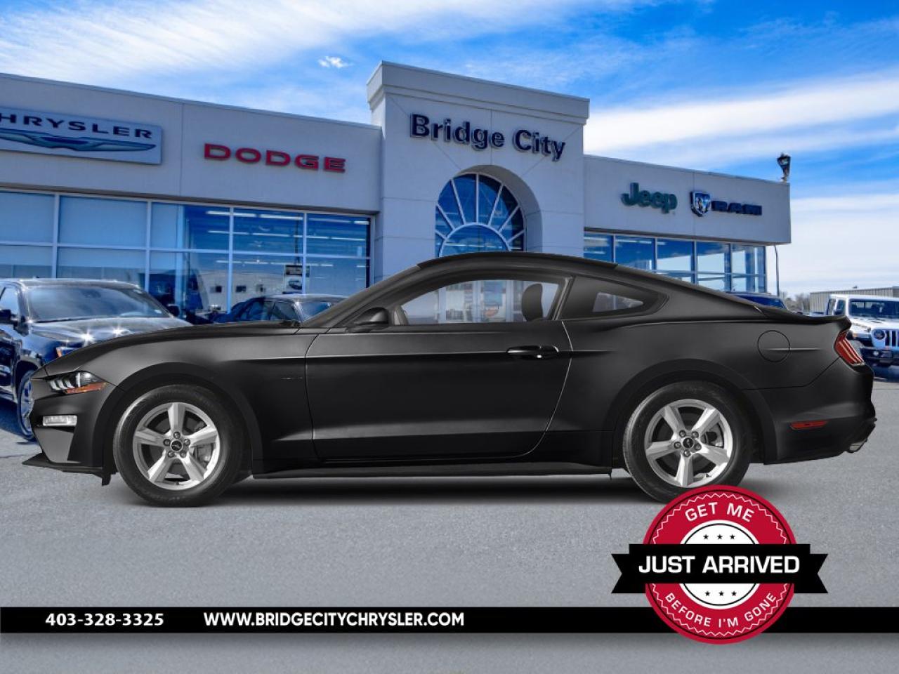 Used 2019 Ford Mustang EcoBoost 6 Speed Manual - Fastback - B&O Sound - Blind Spot Monitoring - Premium pkg for sale in Lethbridge, AB