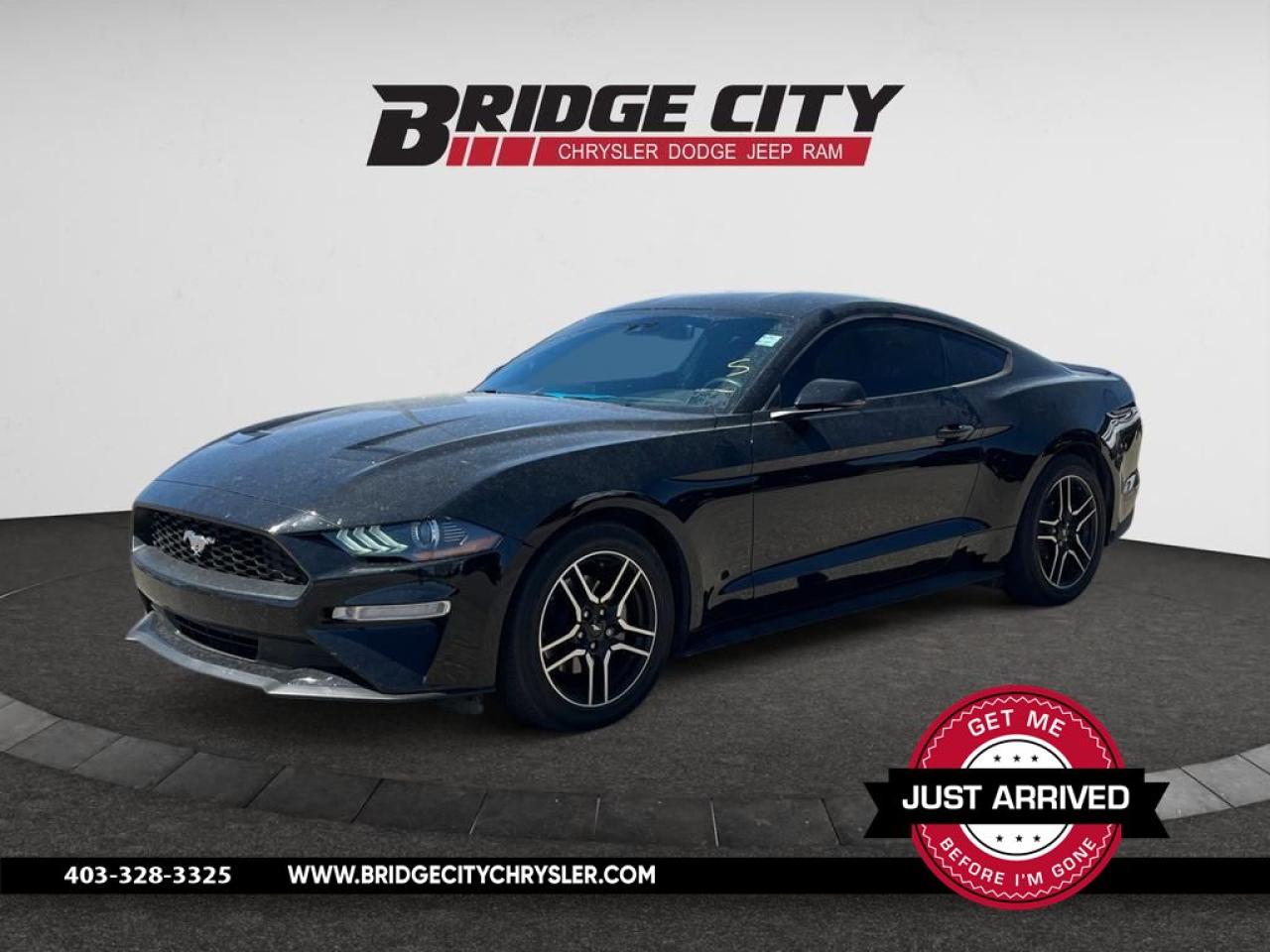 Used 2019 Ford Mustang EcoBoost 6 Speed Manual - Fastback - B&O Sound - Blind Spot Monitoring - Premium pkg for sale in Lethbridge, AB