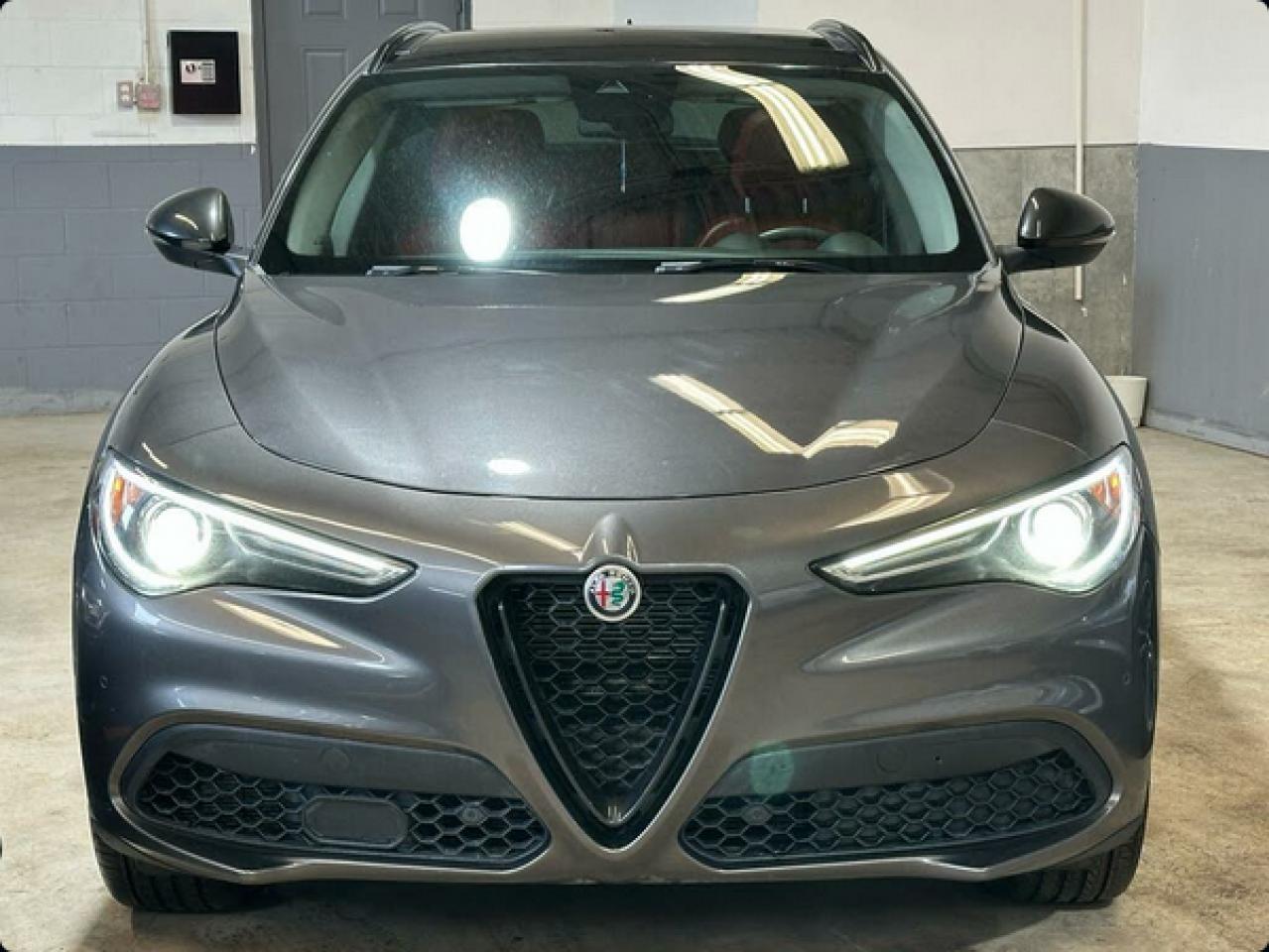 2019 Alfa Romeo Stelvio  Photo3