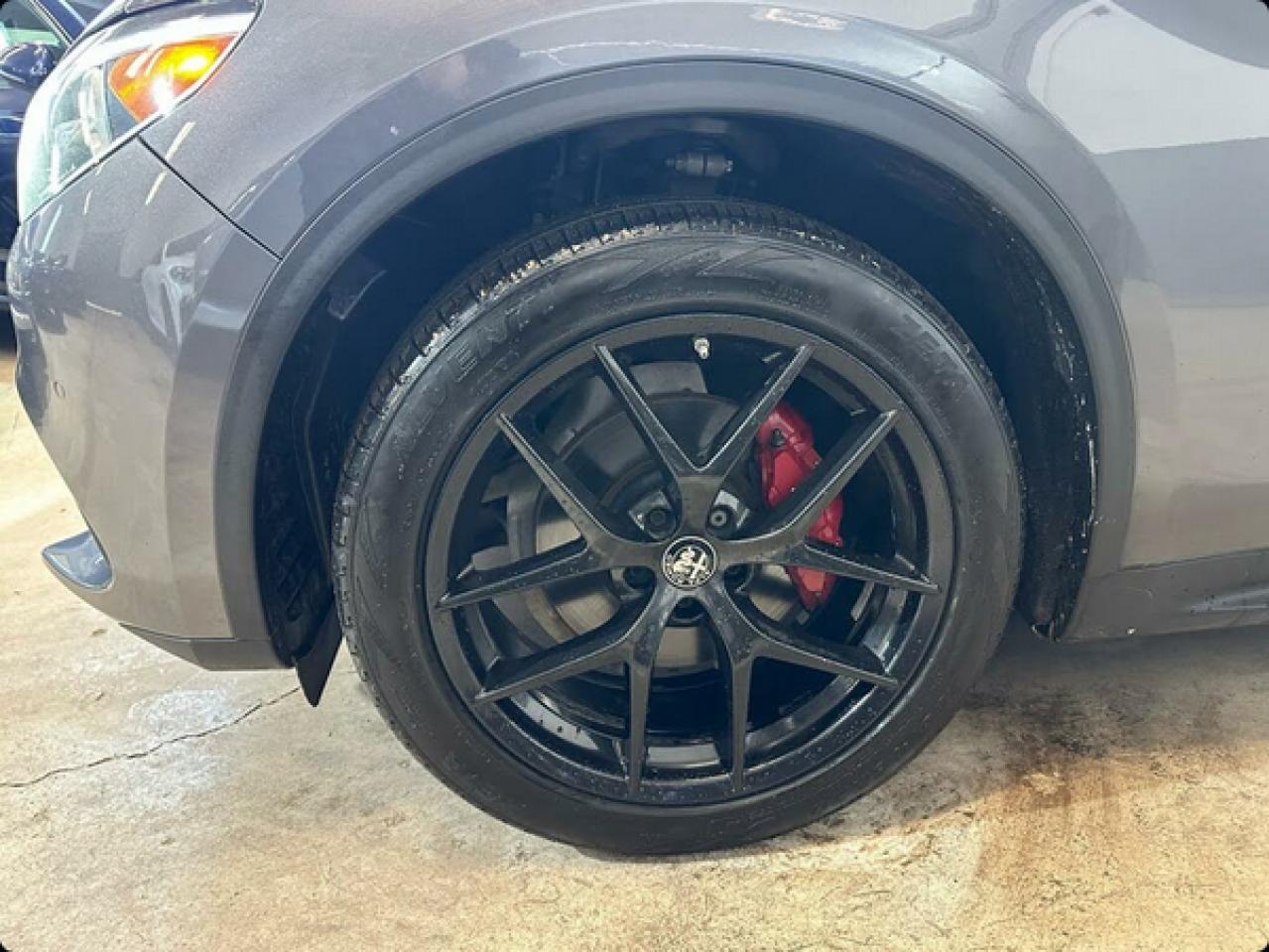 2019 Alfa Romeo Stelvio  Photo